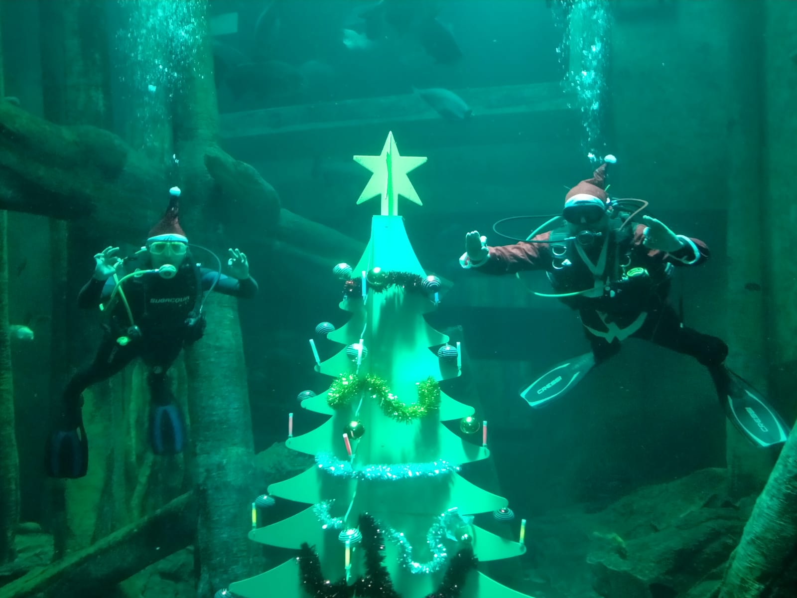 acuario-zgz-arbol-de-navidad-2021-